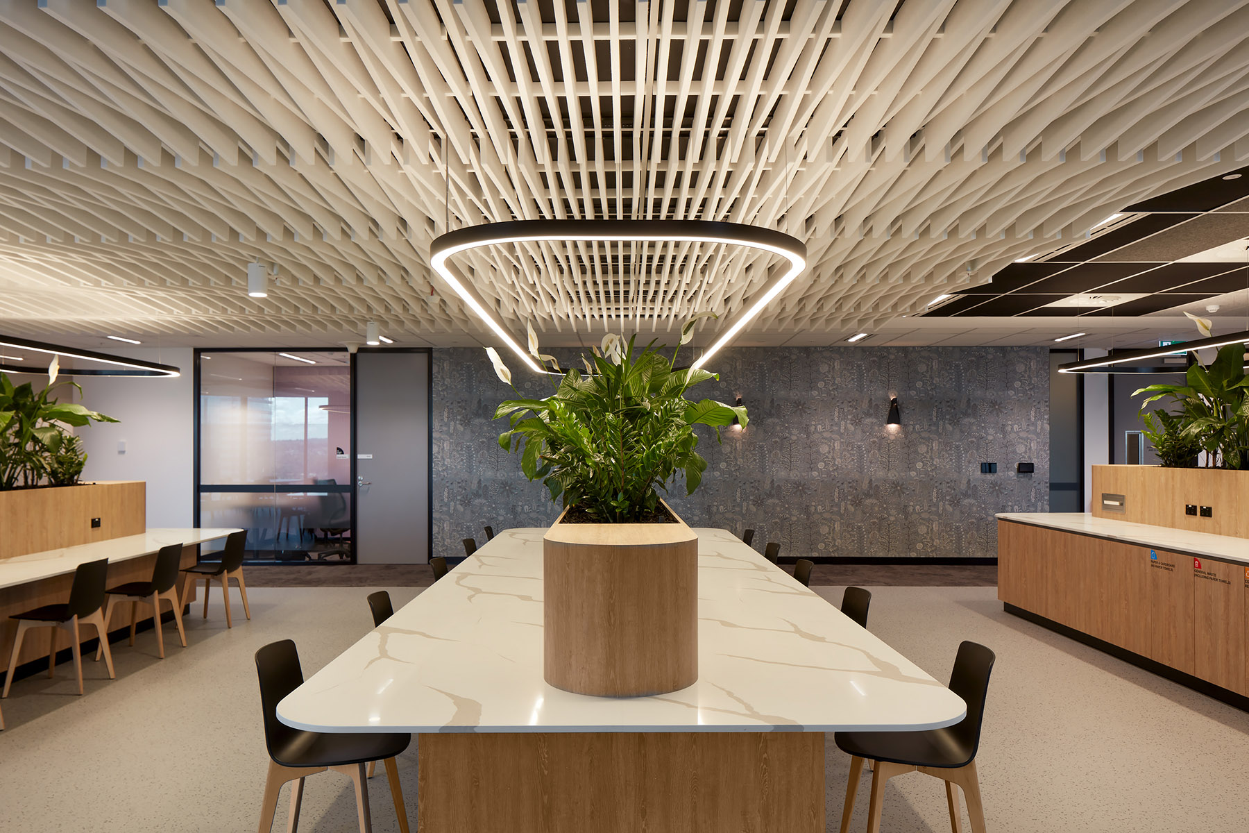 Government Agency Fitout